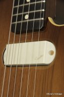 1983 Fender GOLD ELITE WALNUT Telecaster CLEAN!!!
