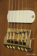 1983 Fender GOLD ELITE WALNUT Telecaster CLEAN!!!