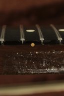 1983 Fender GOLD ELITE WALNUT Telecaster CLEAN!!!