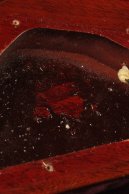 1971 Gibson Flying V MEDALLION Limited Edition Cherry #111