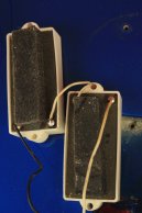 1982 Fender Precision Bass Special rare LAKE PLACID BLUE w/GOLD hardware!!!
