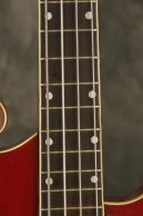 1959 Premier Multivox Scroll Bass E741 Ruby Red Mahogany/Brazilian Rosewood NECK