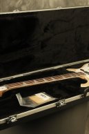 2024 Rickenbacker 4003 Bass Mapleglo unplayed/MINT!!!