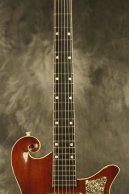 1959 Premier Multivox E275 Western Special