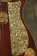 1959 Premier Multivox E275 Western Special