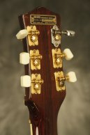 1959 Premier Multivox E275 Western Special