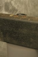 1959 Premier Multivox E275 Western Special