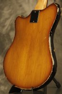 1960's Ampeg SSB-1