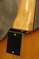 1960's Ampeg SSB-1